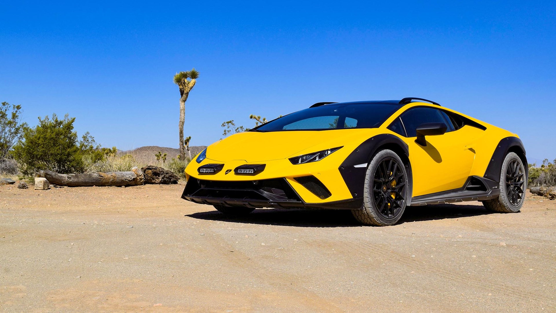 The Lamborghini Sterrato is a Beacon of Joy